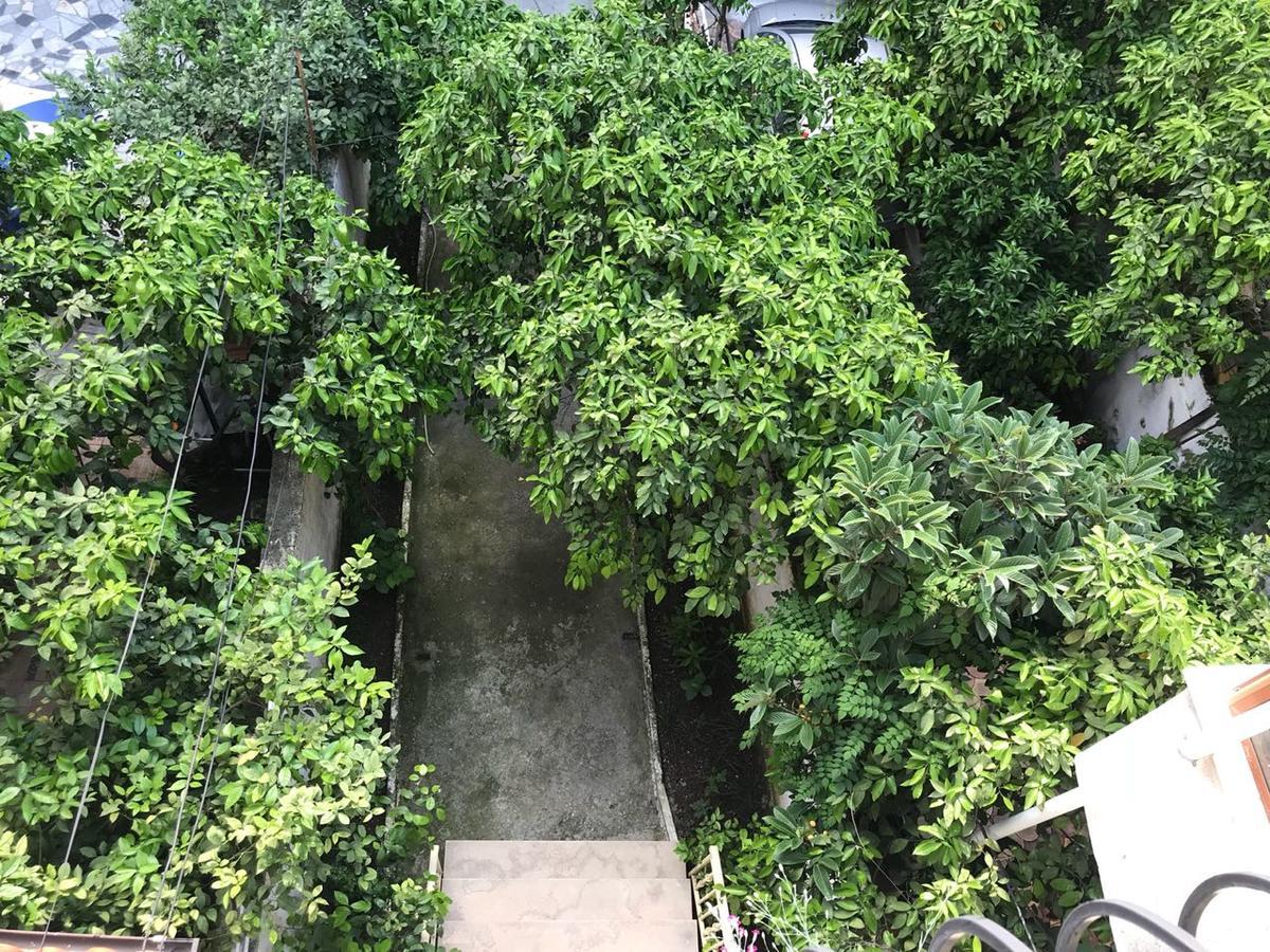 Nina Guest House Τίρανα Εξωτερικό φωτογραφία
